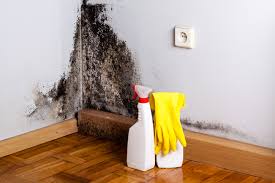 Best Emergency Mold Remediation  in Martins Additions, MD